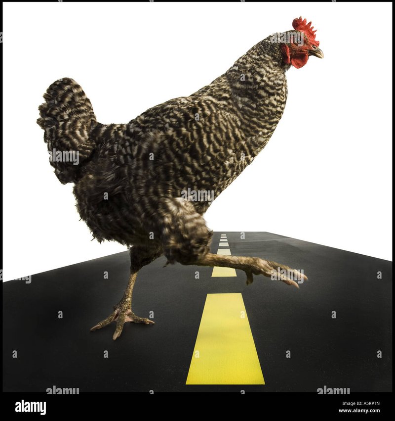 Conoce el nuevo juego de azar de moda en España: Chicken Road