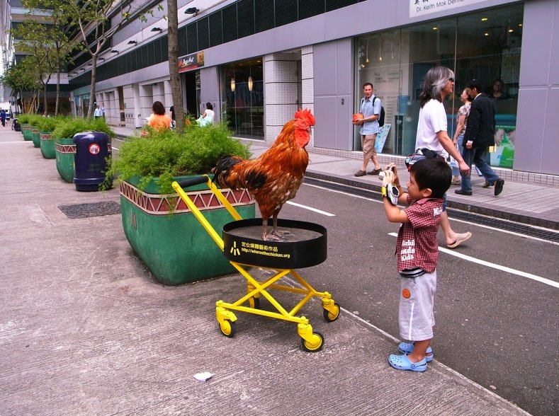 Netherlands - chicken road slot